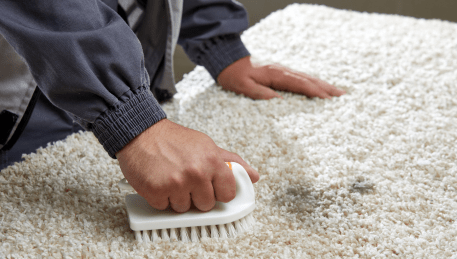 Professional Rug Cleaning Essendon